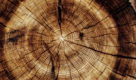 Unternehmerreise Holz Unternehmerreise Holz