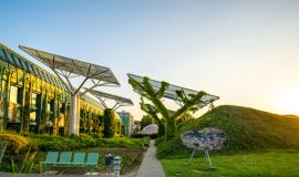Nature based solutions e de-impermeabilizzazione