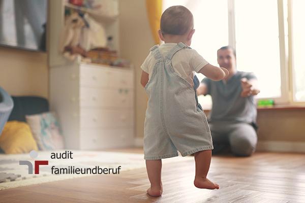 audit familieundberuf audit familieundberuf