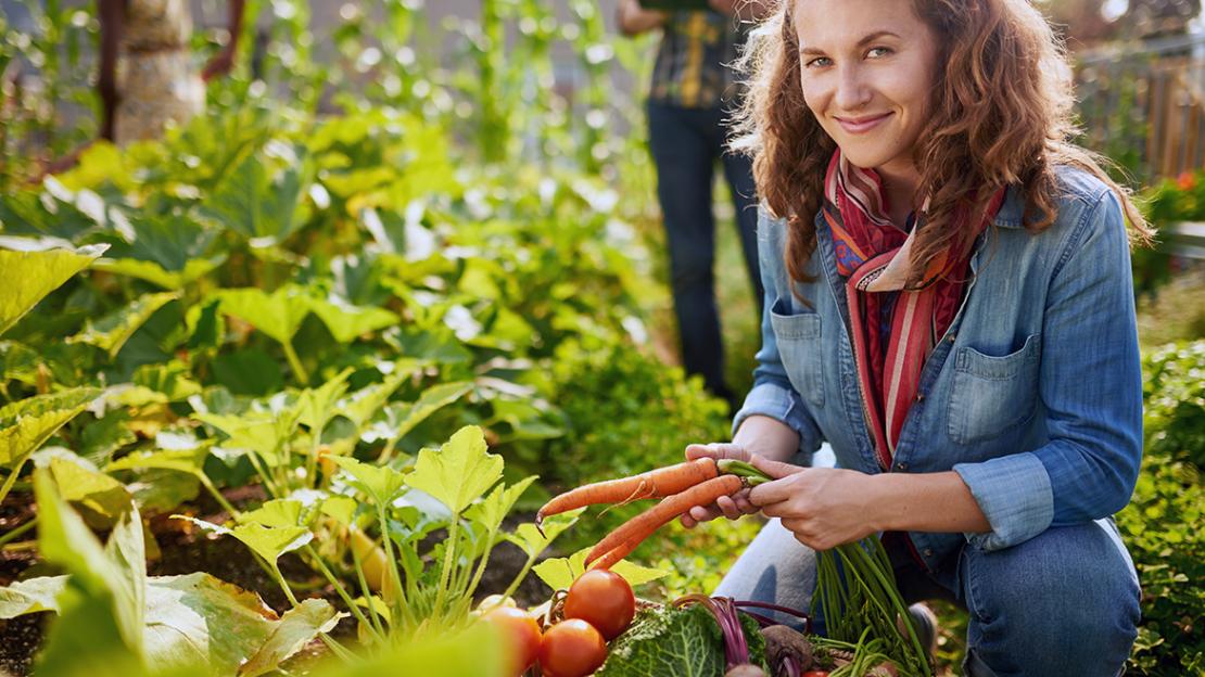 Bäuerliche Direktvermarktung