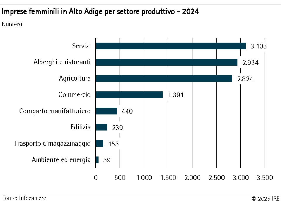 Imprese femminili in Alto Adige per settore